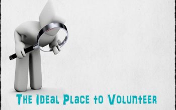 The-Ideal-Place-to-Volunteer-