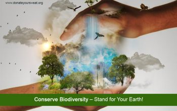 Conserve-Biodiversity-Stand-for-Your-Earth