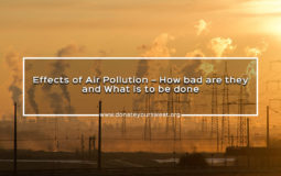 DYS-Blog-Banners-Effects-of-Air-Pollution