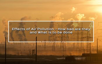 DYS-Blog-Banners-Effects-of-Air-Pollution