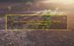 DYS-Blog-Banners-Soil-Health