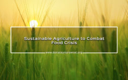 DYS-Blog-Banners-Sustainable-Agriculture