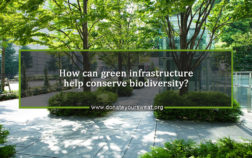 How-can-green-infrastructure-help-conserve-biodiversity