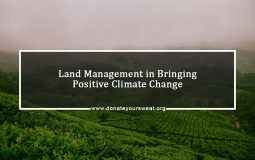 Land-Management-in-Bringing-Positive-Climate-Change