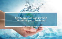Strategies-for-Conserving-Water-at-your-Business