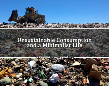 Unsustainable-Consumption-and-a-Minimalist-Life